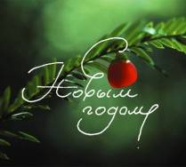 С Новым 2013 годом и Рождеством Господа Бога и Спаса нашего Иисуса Христа!