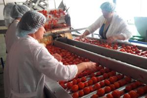 После выполнения монтажных и пусконаладочных работ, новая линия переработки томатов производства АО «КЭМЗ» вышла на производственную мощность.